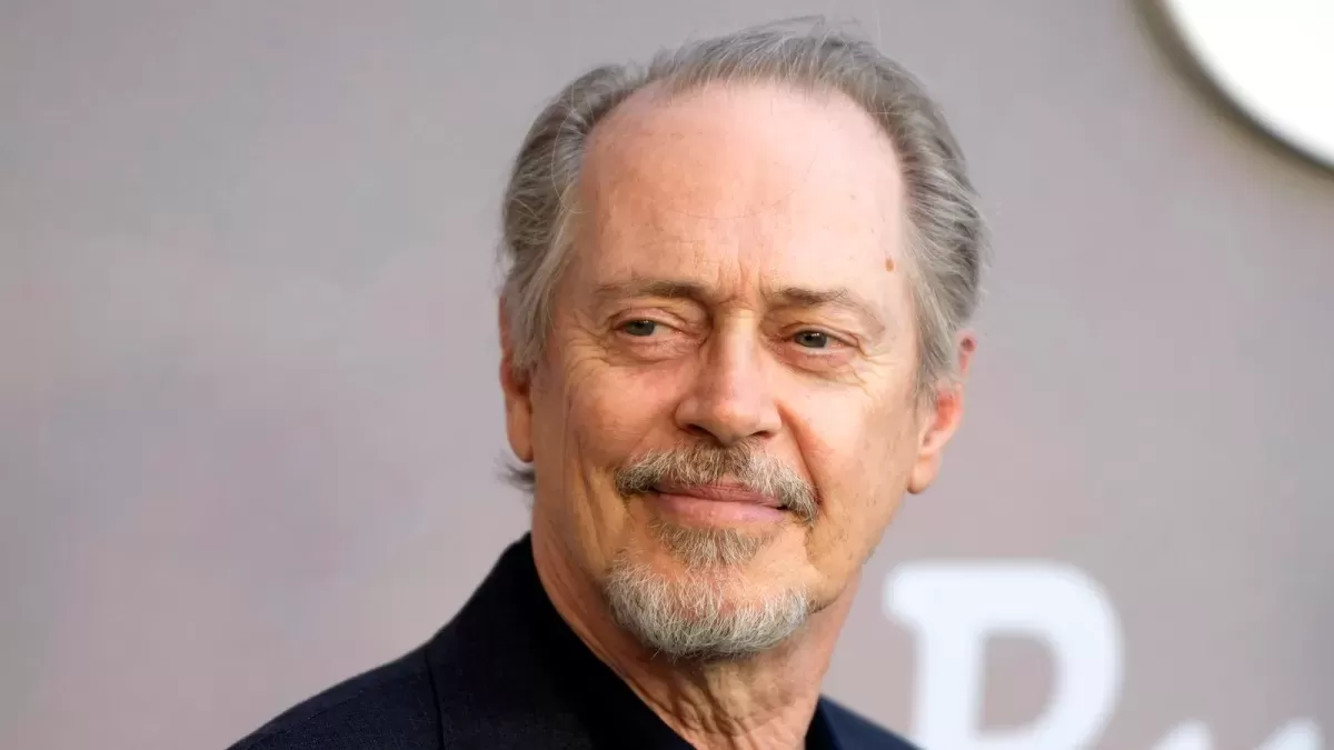 Hollywood actor punched in the face on New York City street: Steve Buscemi