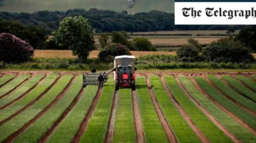 Scrapping inheritance tax relief will kill the family farm, Labour warned