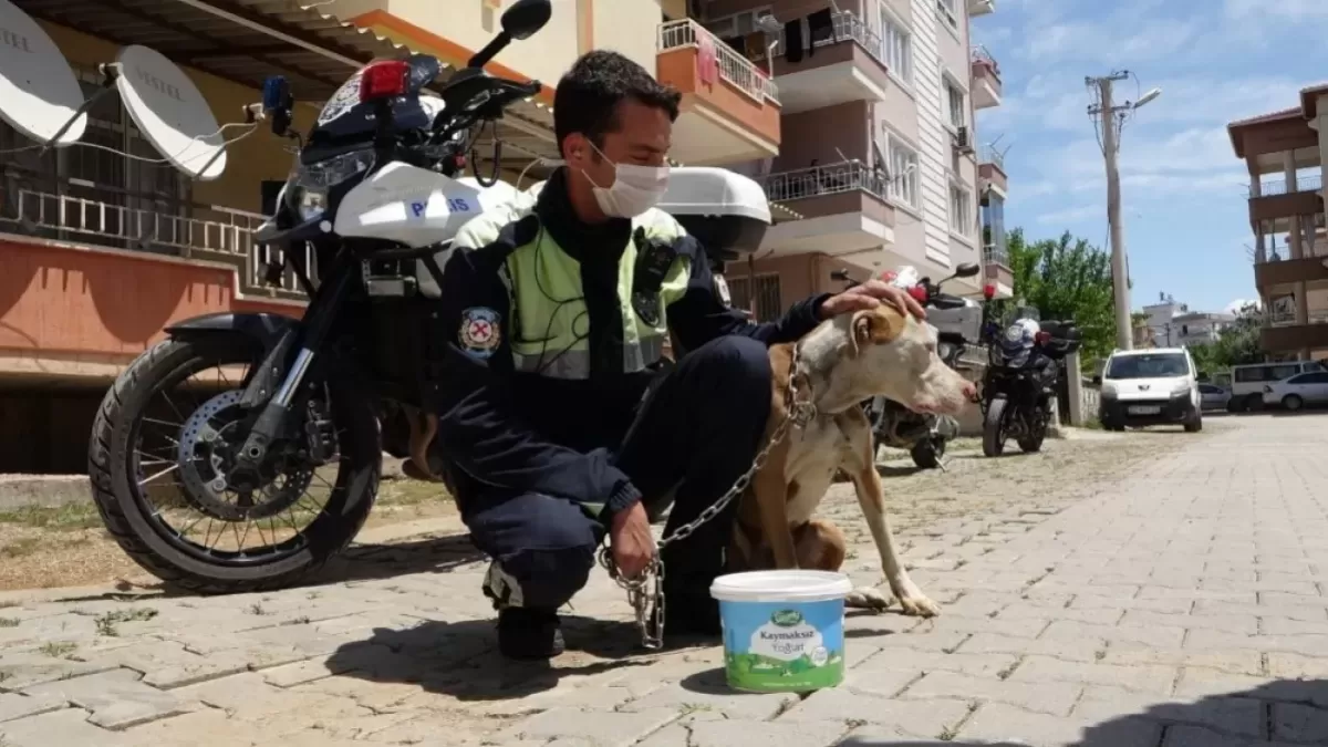 Antalya'da Polis Ekipleri Denetimlerde Bulundu